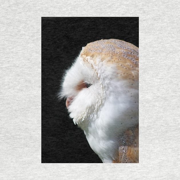 Barn Owl by Furtographic